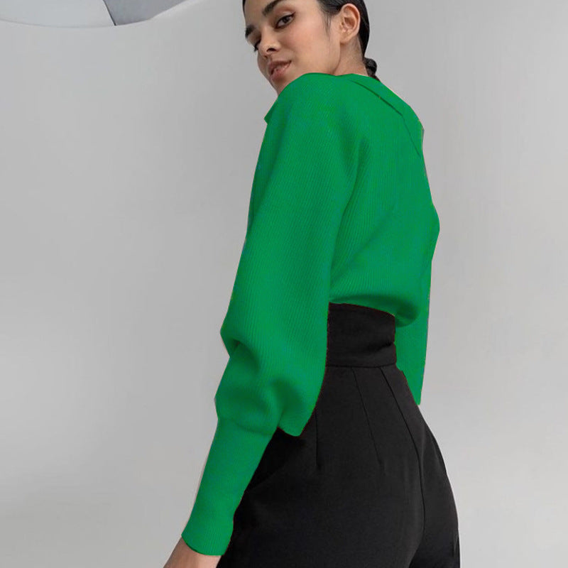 Sophisticated women fashion lapel temperament blouse sweater