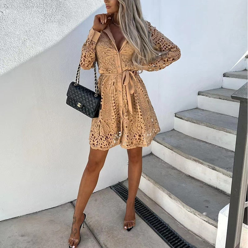 Elegant lace dress
